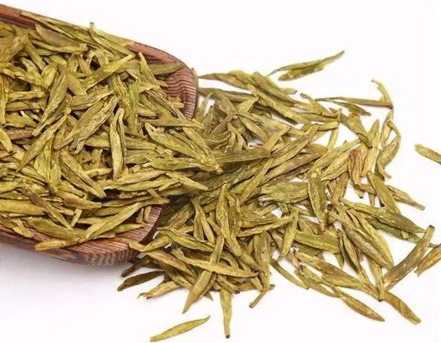 Yellow Tea Processing