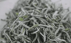 White Tea